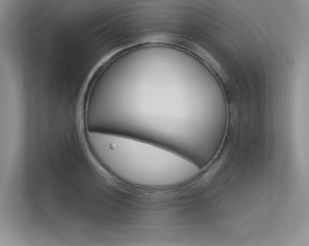 X0000113320939200909140944