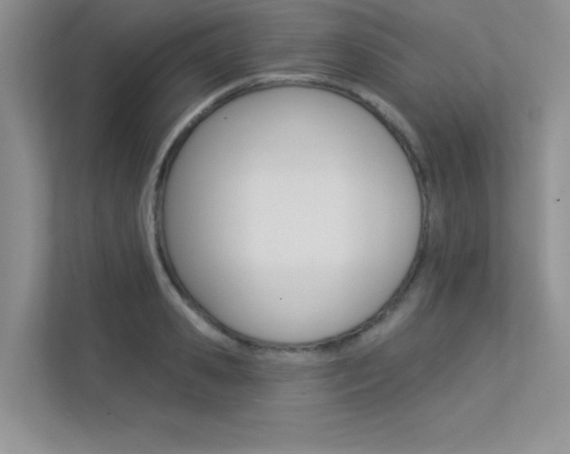 X0000113320941200909140944