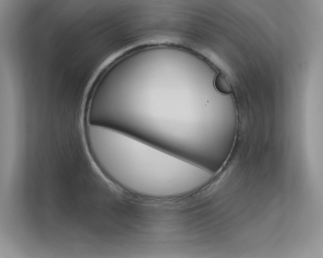 X0000113320943200909140944