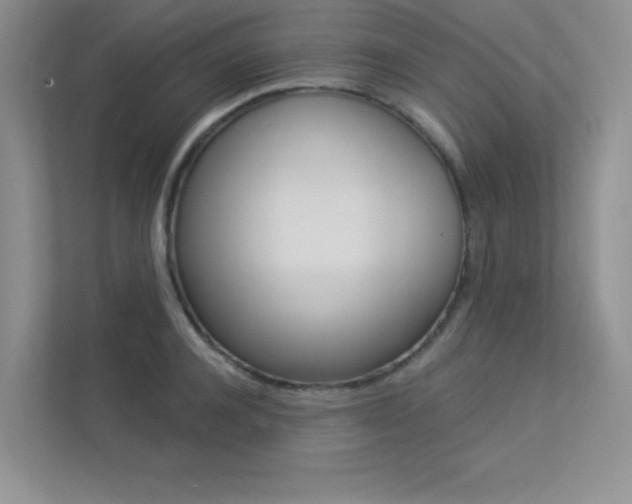 X0000113320944200909140944