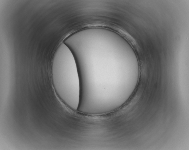 X0000113320945200909140944