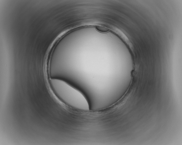 X0000113320947200909140944