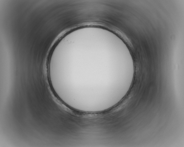 X0000113320950200909140944