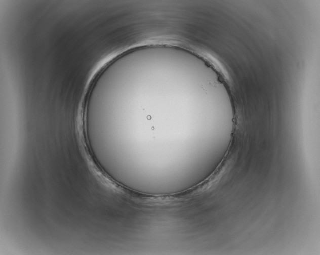 X0000113320952200909140944