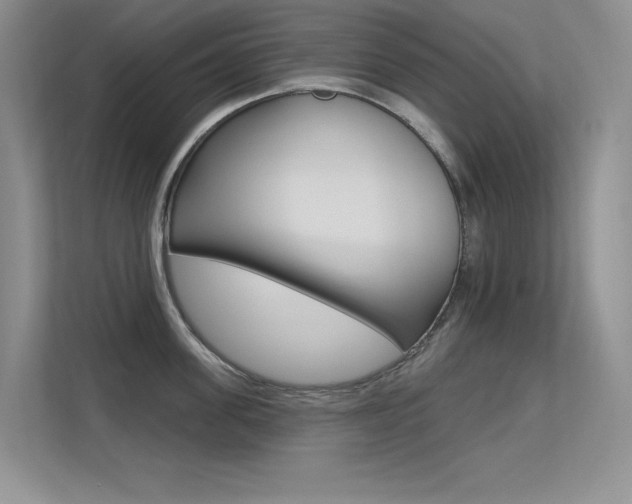 X0000113320955200909140944