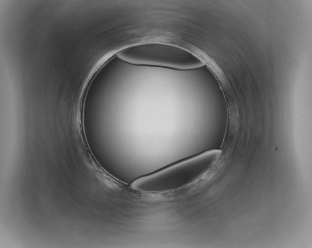 X0000113320956200909140944