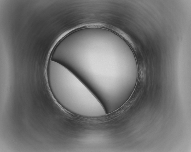 X0000113320959200909140944