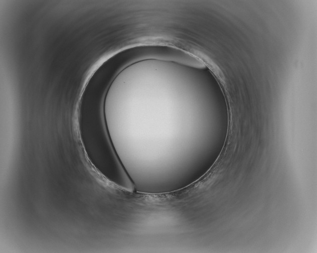 X0000113320960200909140944