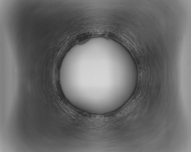 X0000113320961200909140944