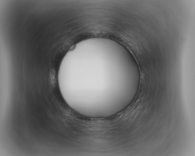 X0000113320963200909140944