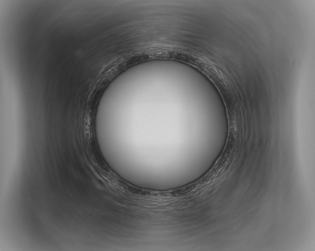 X0000113320964200909140944