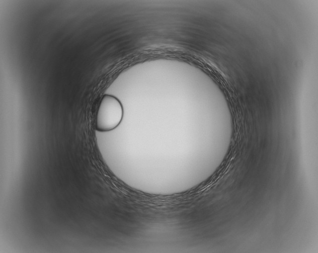 X0000113320965200909140944