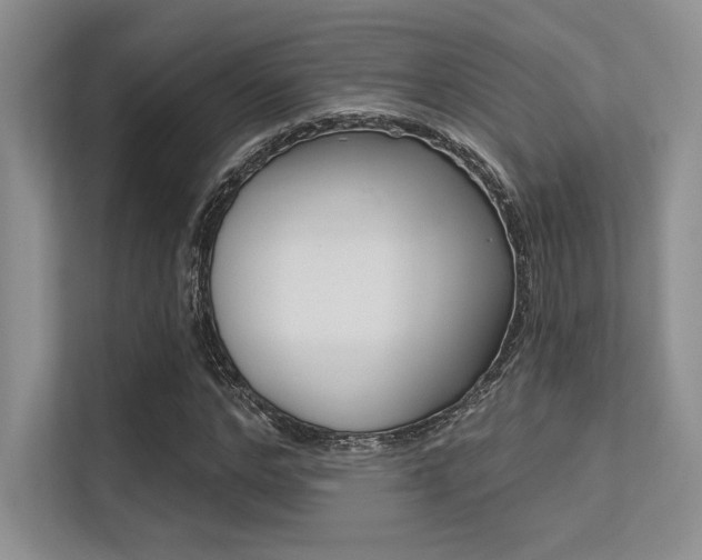 X0000113320968200909140943