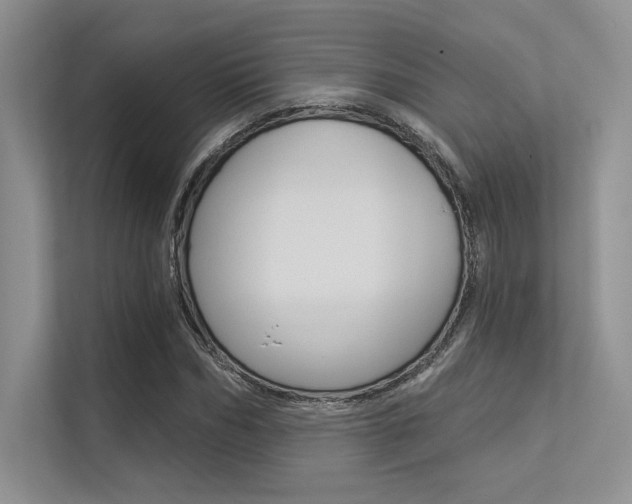 X0000113320970200909140943