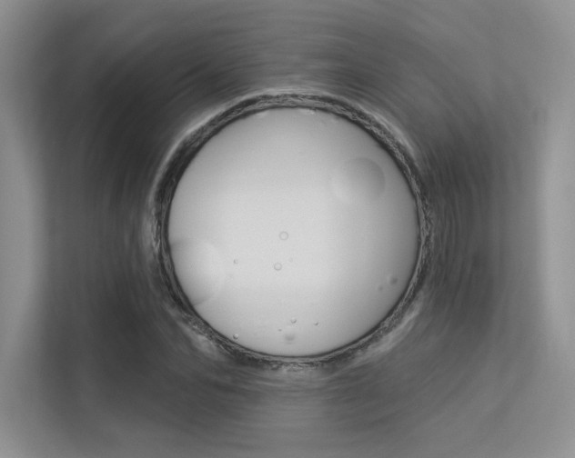 X0000113320974200909140943