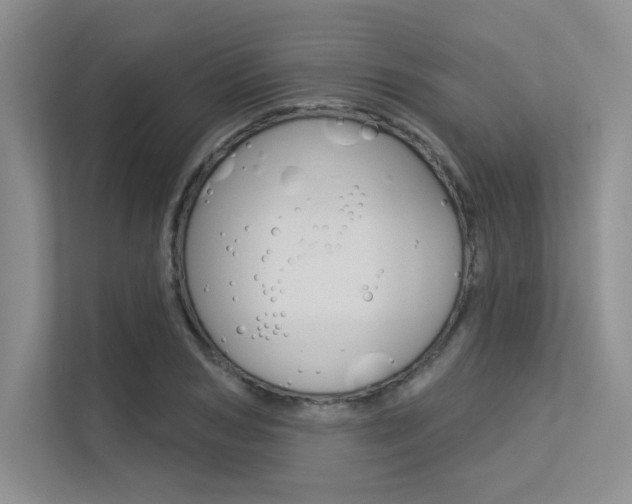 X0000113320978200909140943