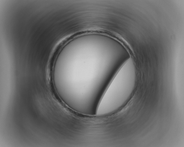 X0000113320979200909140943