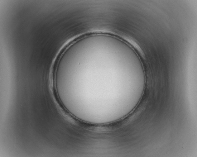 X0000113320984200909140943