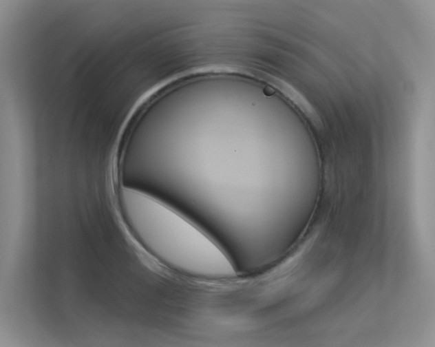 X0000113320988200909140943
