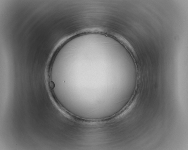 X0000113320989200909140943