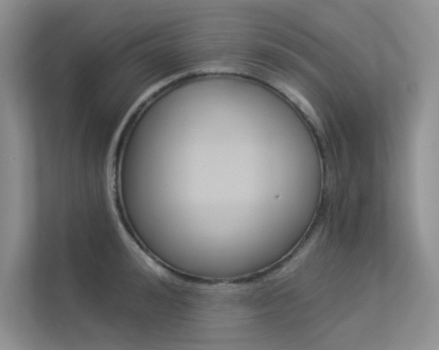 X0000113320992200909140943