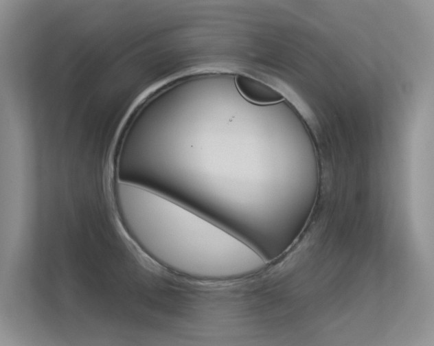 X0000113320996200909140943