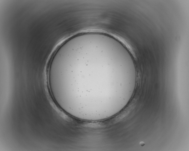 X0000113320998200909140943