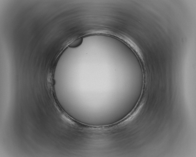 X0000113321001200909140943