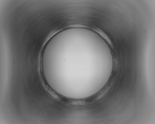 X0000113321002200909140943