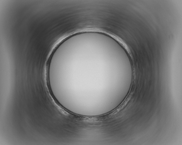 X0000113321006200909140943