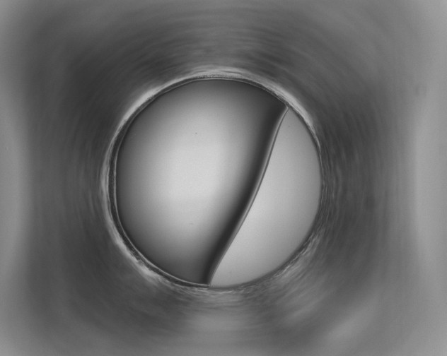 X0000113321007200909140943