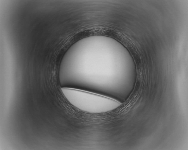 X0000113321010200909140942