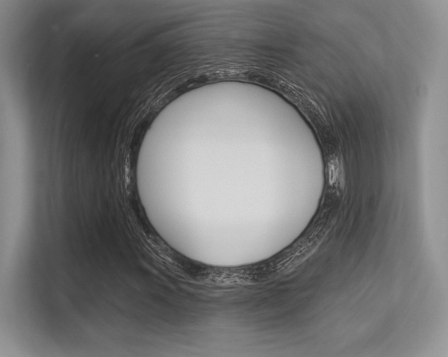 X0000113321011200909140942