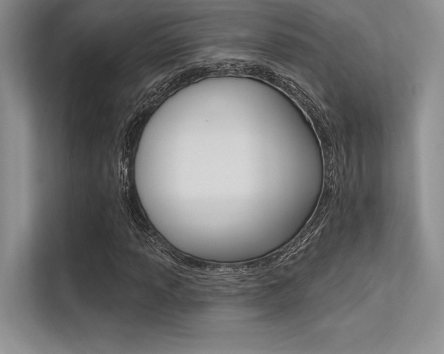 X0000113321013200909140942