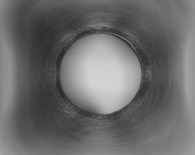 X0000113321014200909140942
