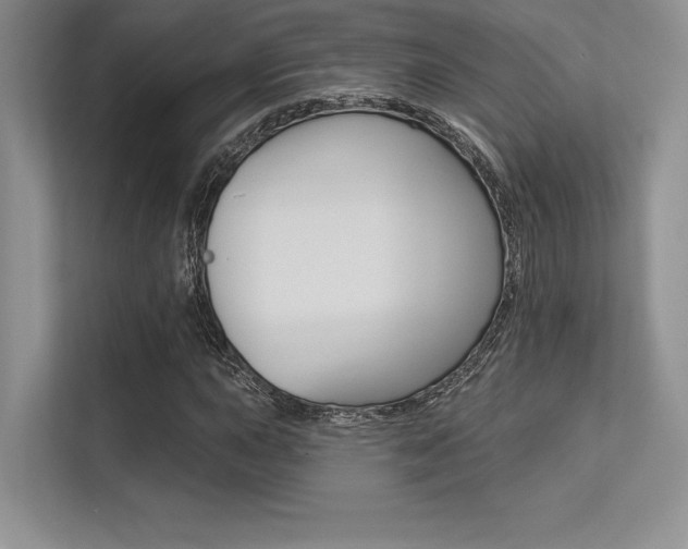 X0000113321015200909140942