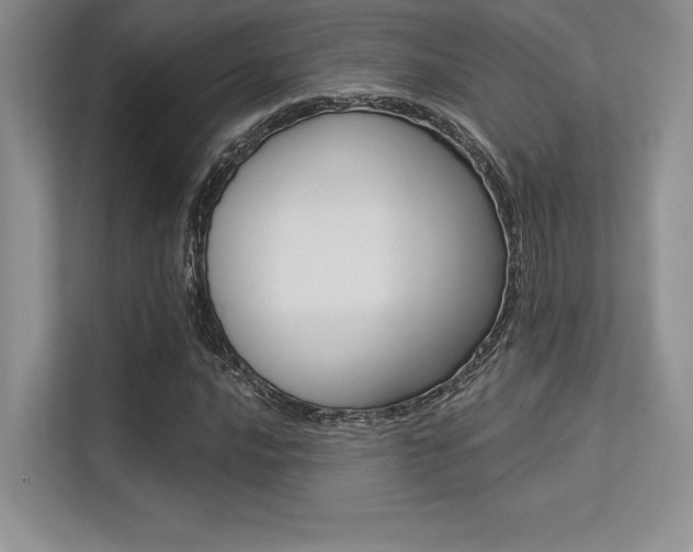 X0000113321016200909140942