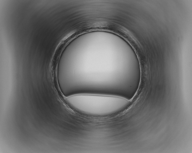 X0000113321018200909140942