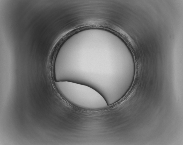 X0000113321019200909140942