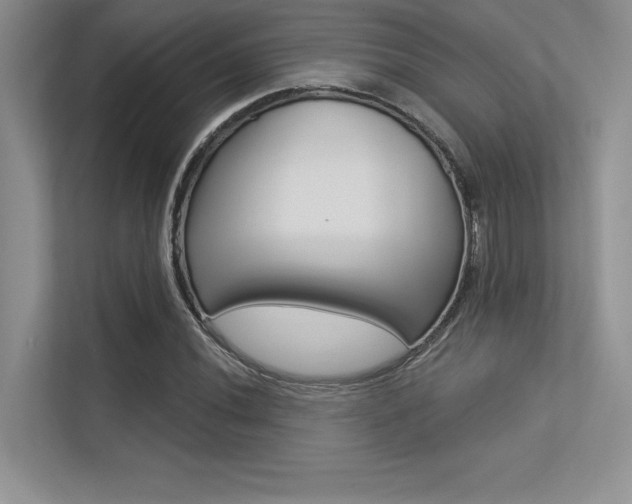 X0000113321020200909140942