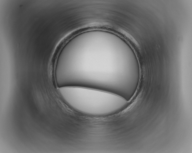 X0000113321021200909140943