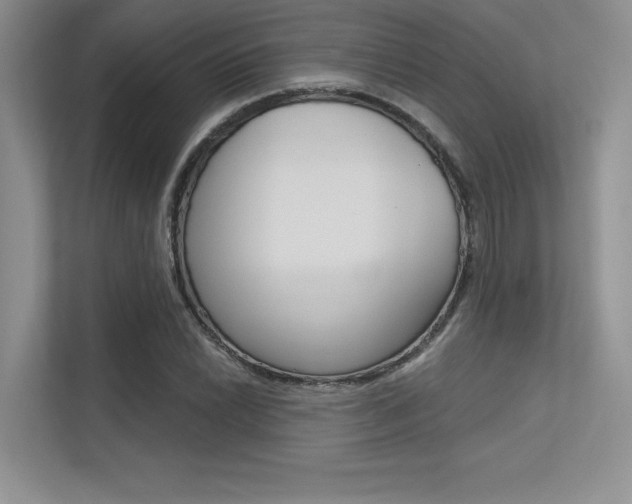 X0000113321022200909140943