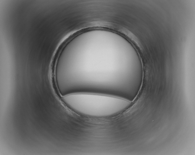 X0000113321024200909140943