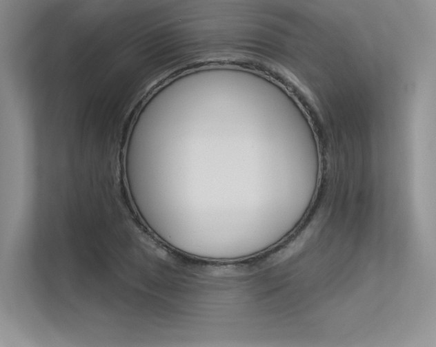 X0000113321025200909140943