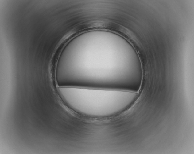 X0000113321026200909140943