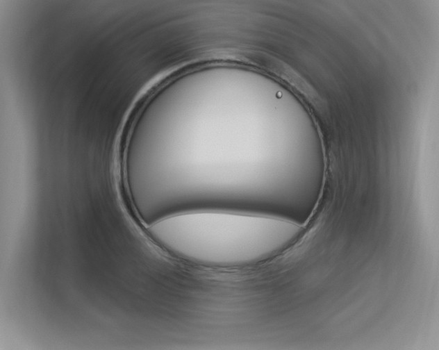 X0000113321028200909140943