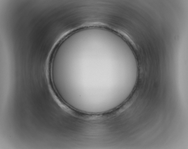 X0000113321038200909140943