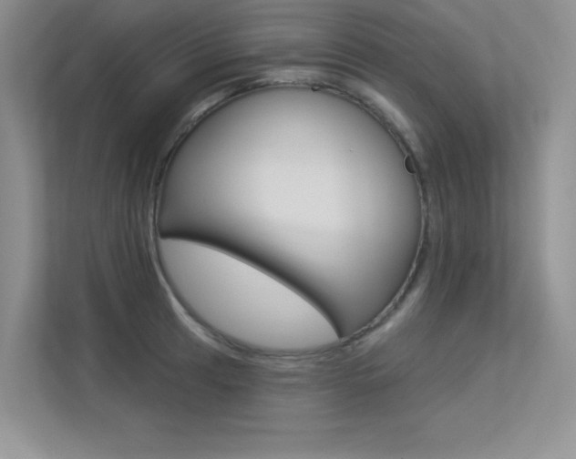 X0000113321041200909140943