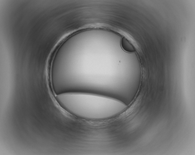X0000113321046200909140943