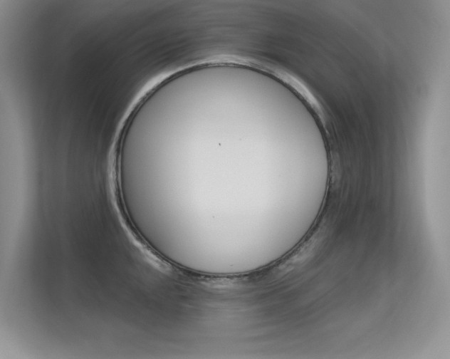 X0000113321048200909140943
